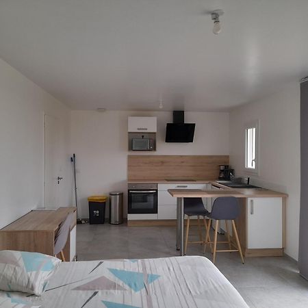Studio Lumineux Avec Terrasse La Roche-sur-Yon Zewnętrze zdjęcie
